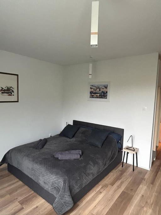Apartament Stary Шчечин Екстериор снимка
