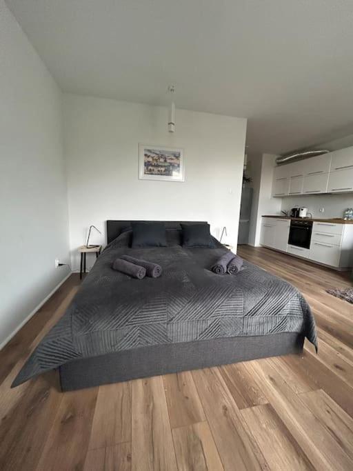 Apartament Stary Шчечин Екстериор снимка