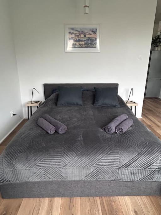 Apartament Stary Шчечин Екстериор снимка